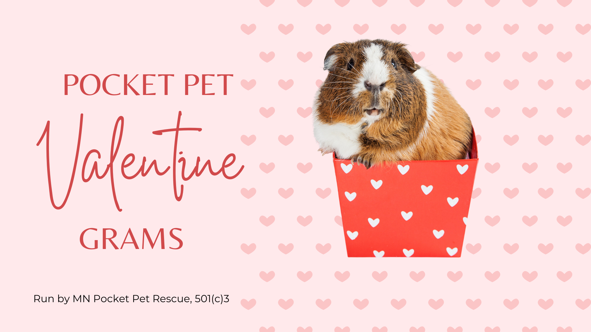 Campaign cover image for Pocket Pet Valentine Grams