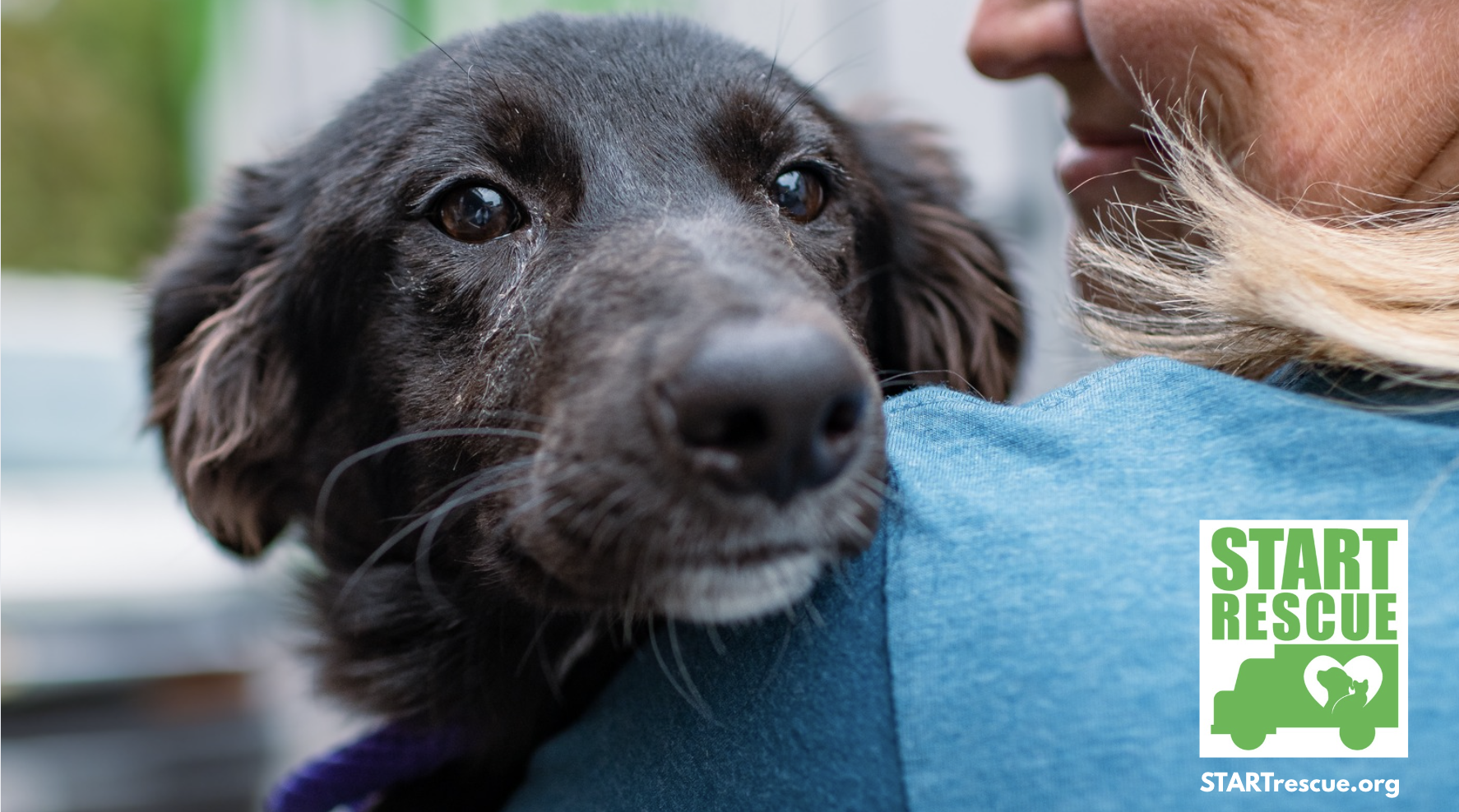 Campaign cover image for SPONSOR A SEAT - START Rescue