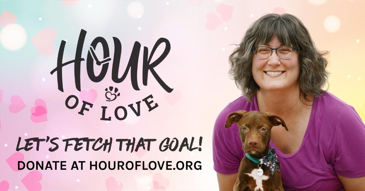 Campaign cover image for Hour of Love 2025