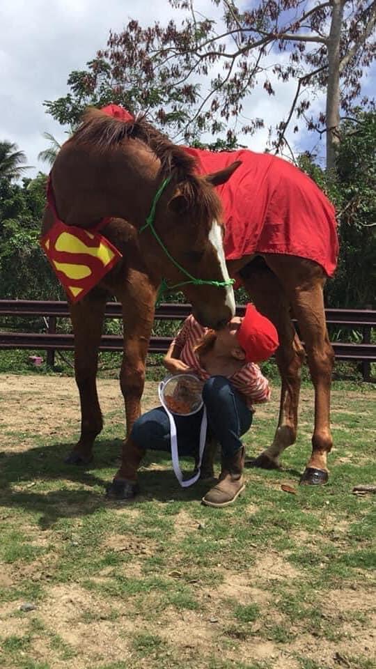 Campaign cover image for Giving #Tuesday 2025 Grow Our Sanctuary for Horses in Need