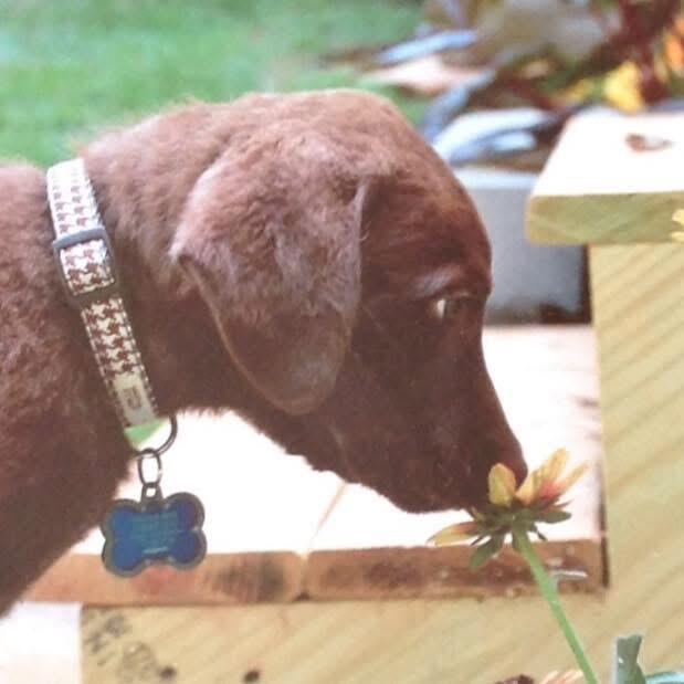 Campaign cover image for Celebrate Sandy Moe