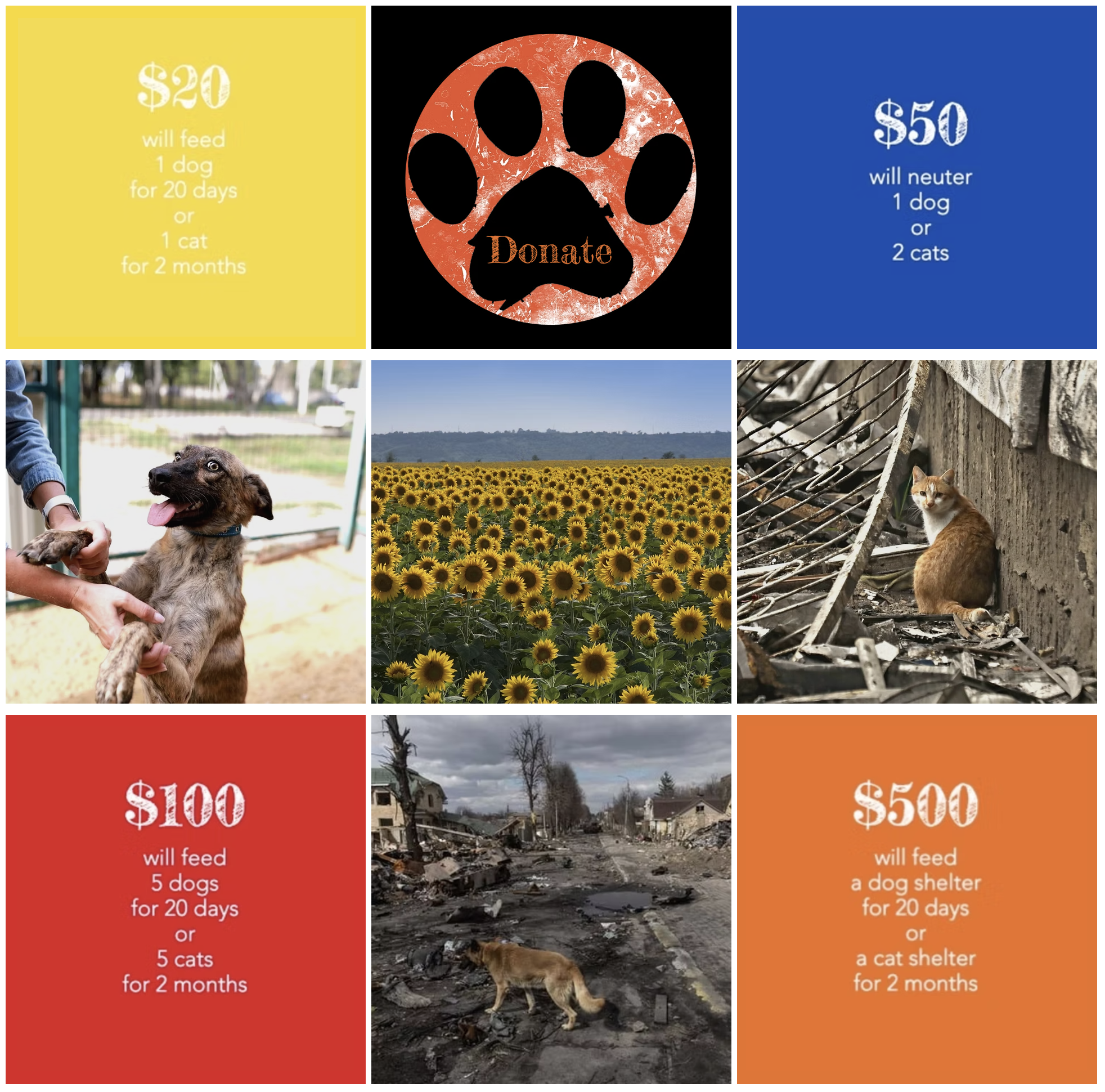 Campaign cover image for We’re deeply grateful for your support. Thank you for your donation!