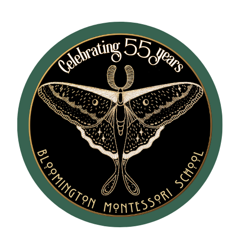 Campaign cover image for Bloomington Montessori 55th Anniversary Gala