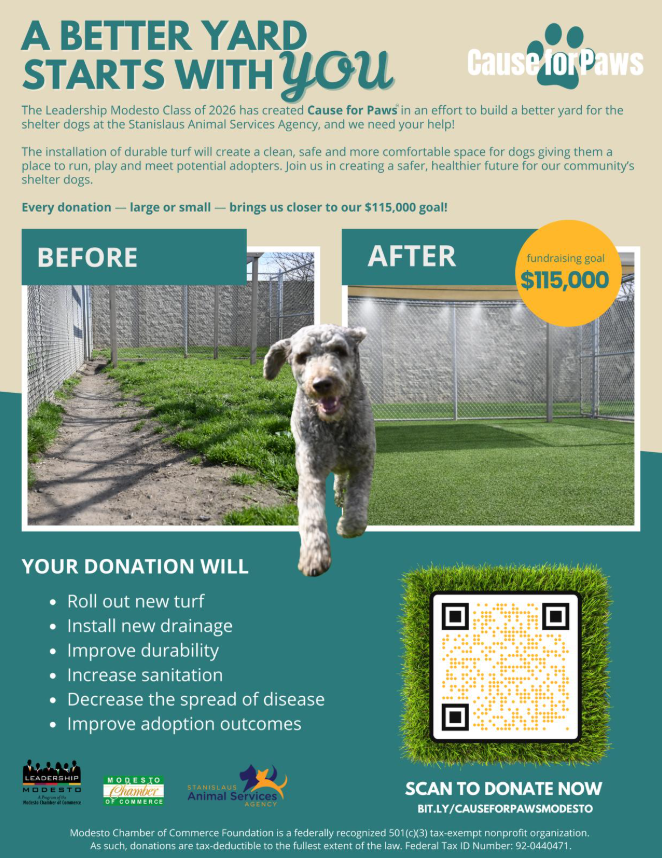 Campaign cover image for Cause for Paws