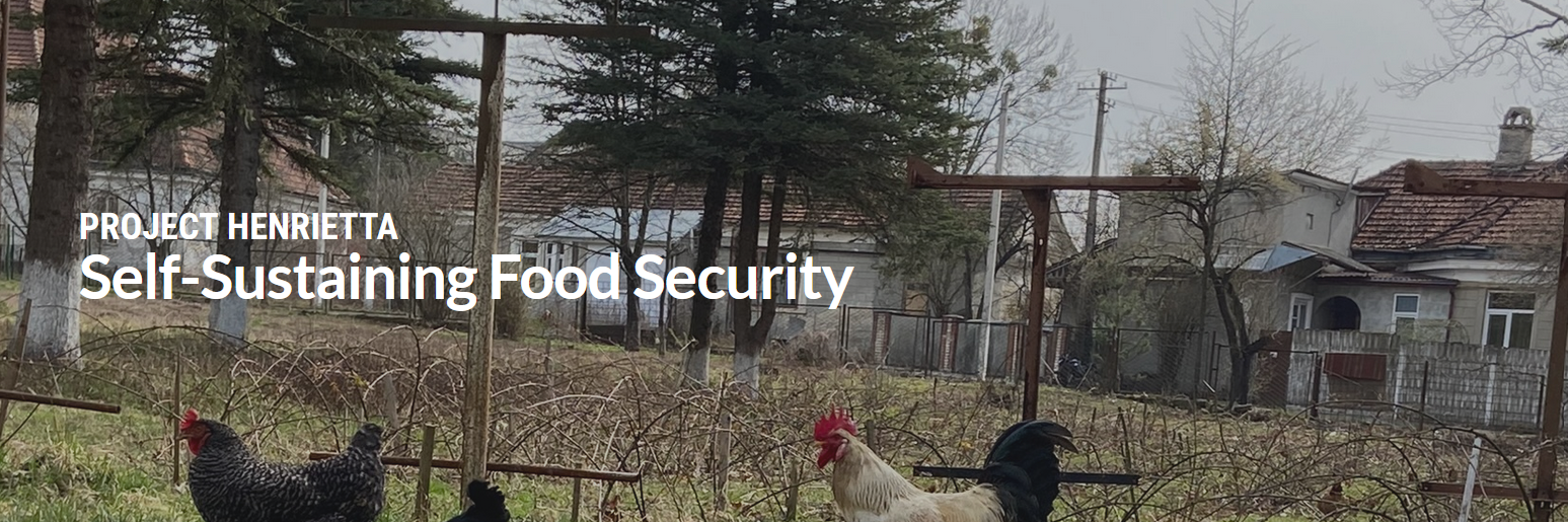 Campaign cover image for Project Henrietta