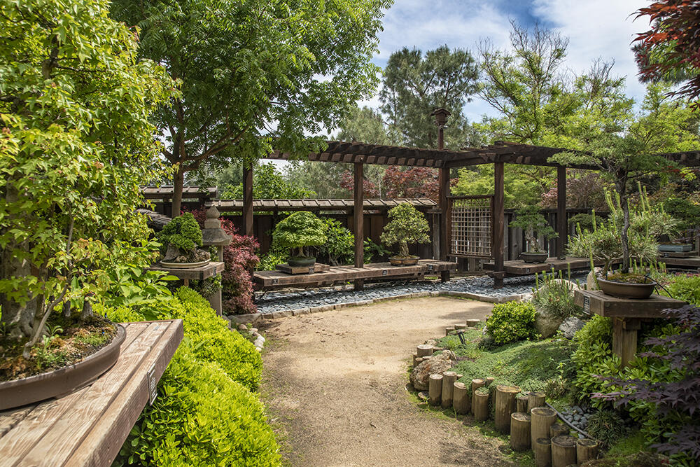 Campaign cover for Clark Bonsai Museum – Support & Sponsorship
