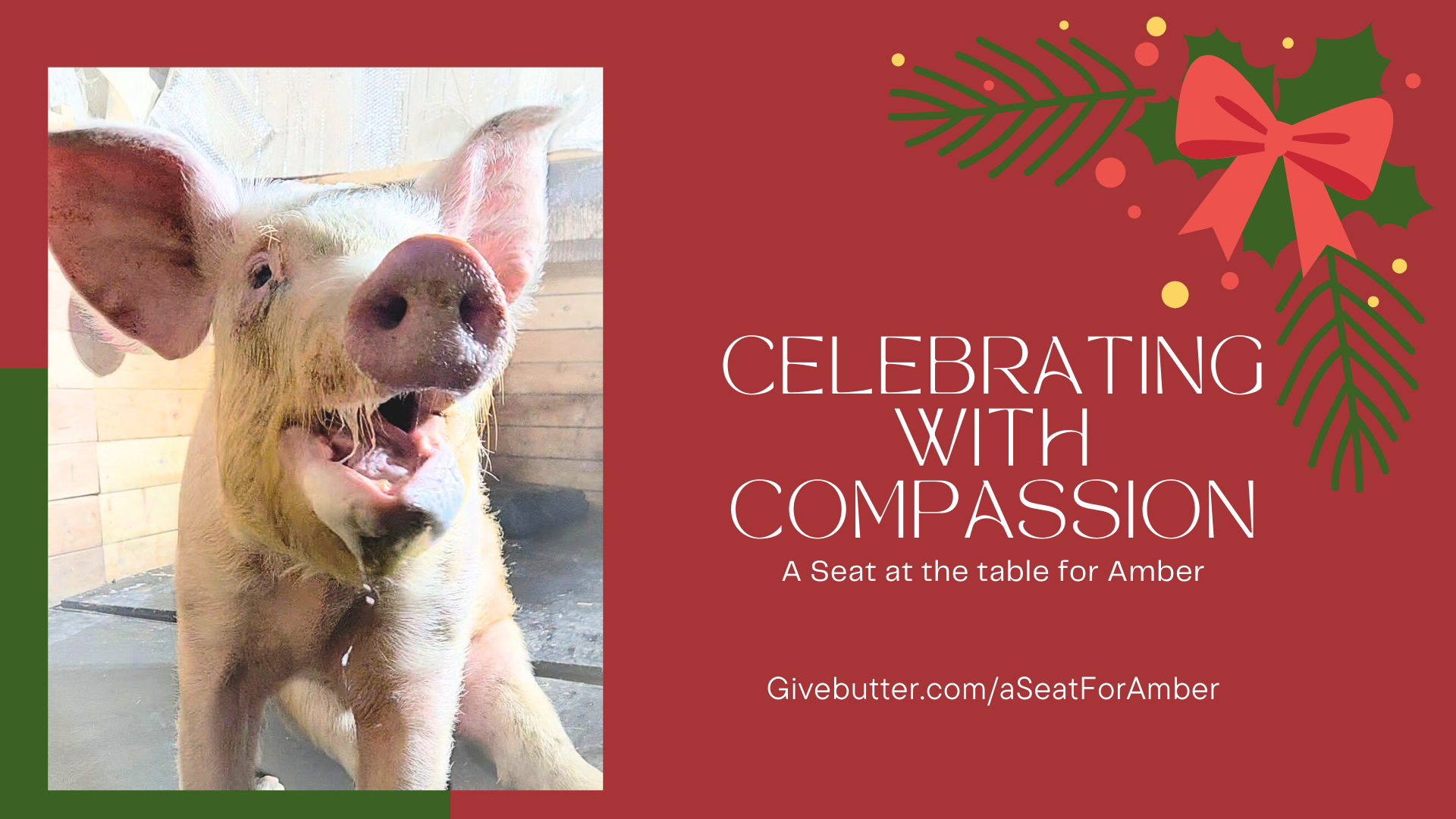 Campaign cover image for 🎄❤️ Celebrating with Compassion ❤️🎄
