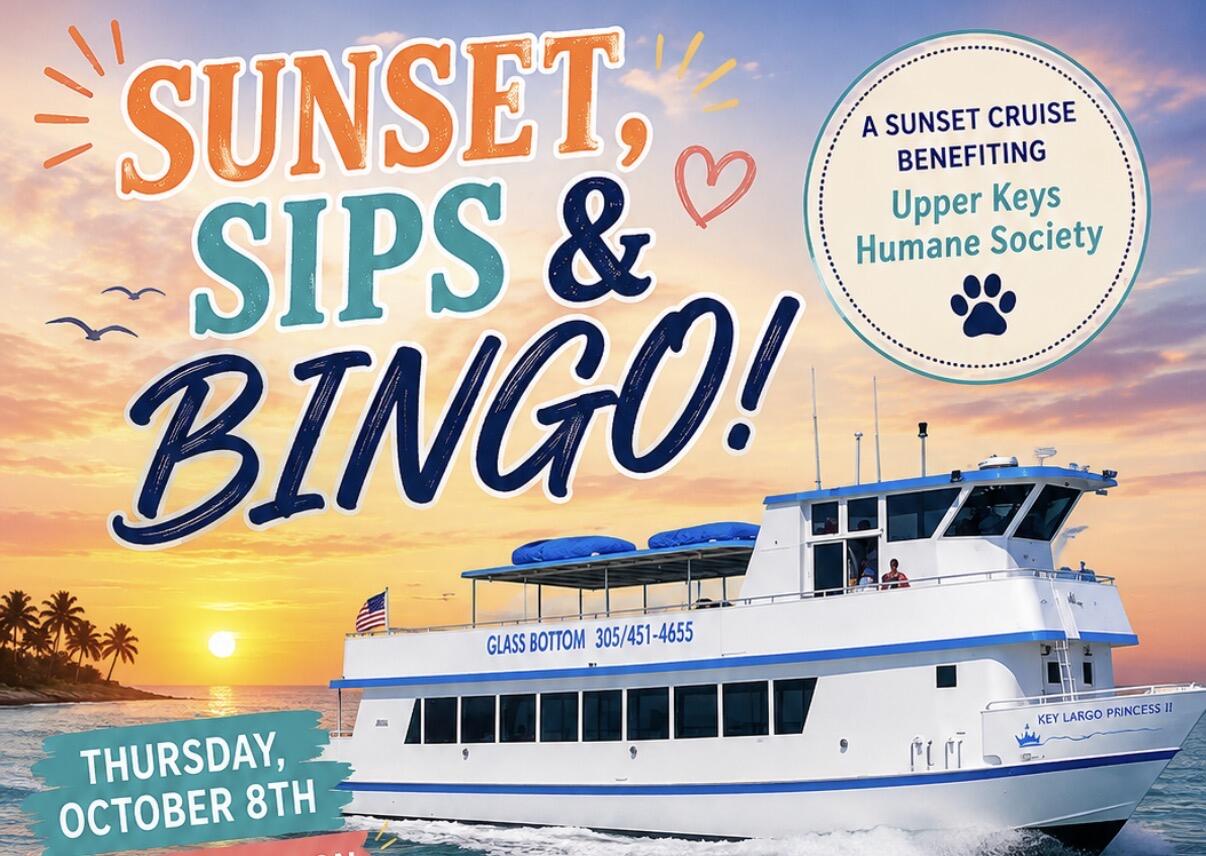 Campaign cover image for Glass bottom boat Bingo