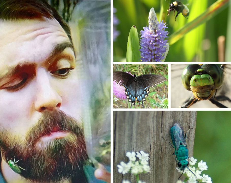 Campaign cover image for Texas Invertebrates: Always Numerous and Sometimes Odd