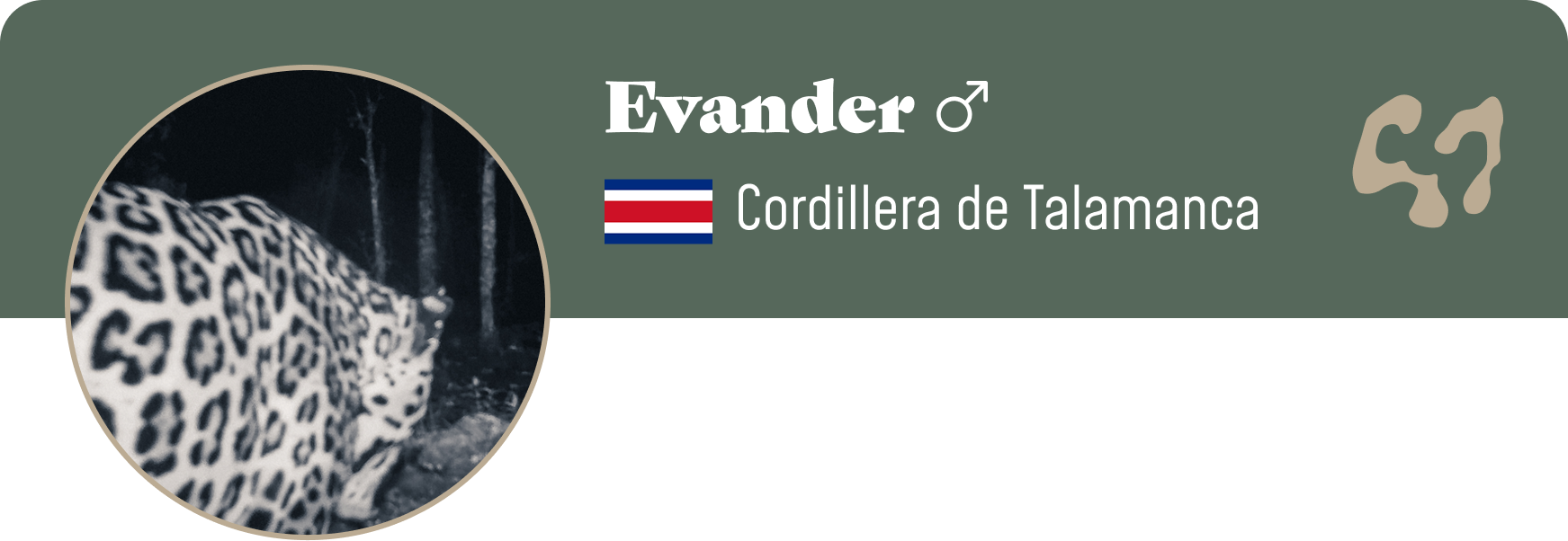 Campaign cover image for Adopt Evander