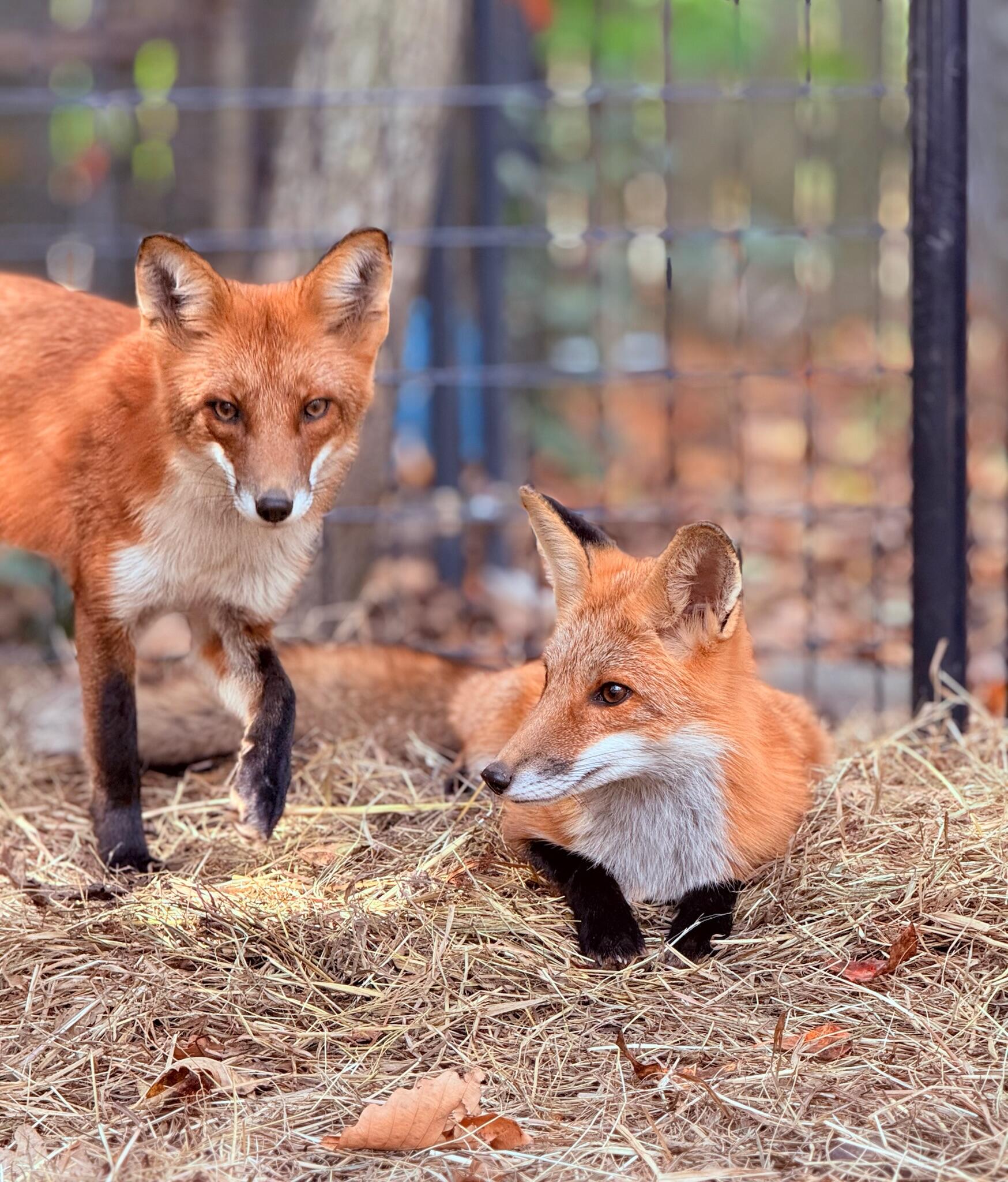 Campaign cover image for Giving Tuesday 2025