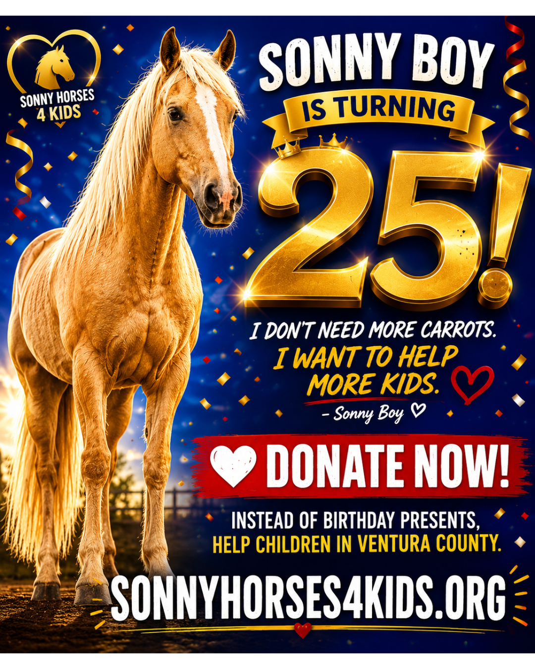 Campaign cover for Individual Donations - Sonny Boys 25th Birthday Celebration Fundraiser Benefiting SONNY HORSES 4 KIDS