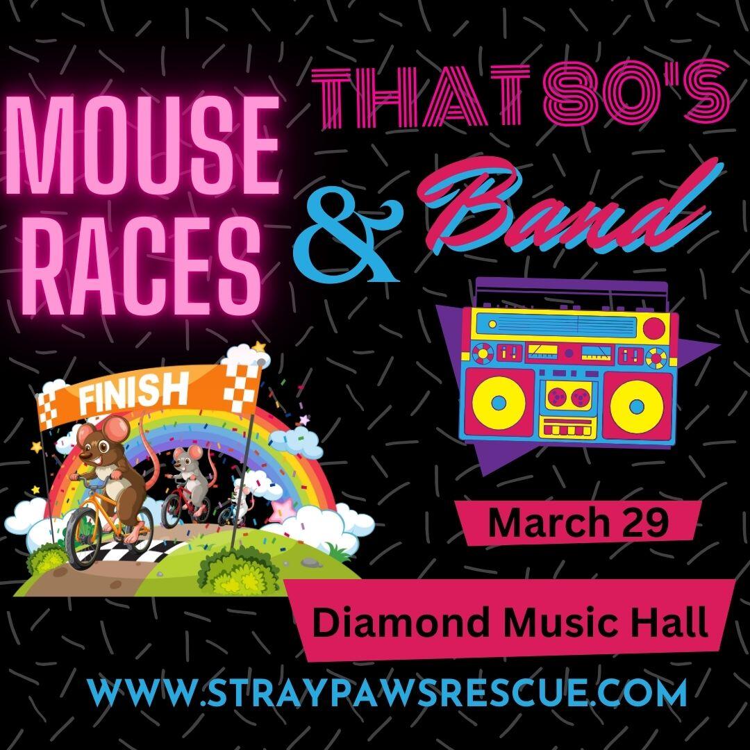 Campaign cover image for 2025 Stray Paws Rescue  Mouse Races