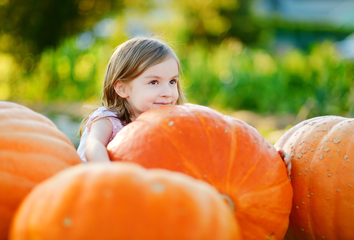 Campaign cover image for Nature Discovery Center's Pumpkin Patch Fall Festival
