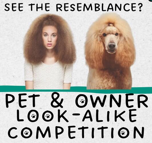 Campaign cover image for Pet/Owner Look-Alike Competition
