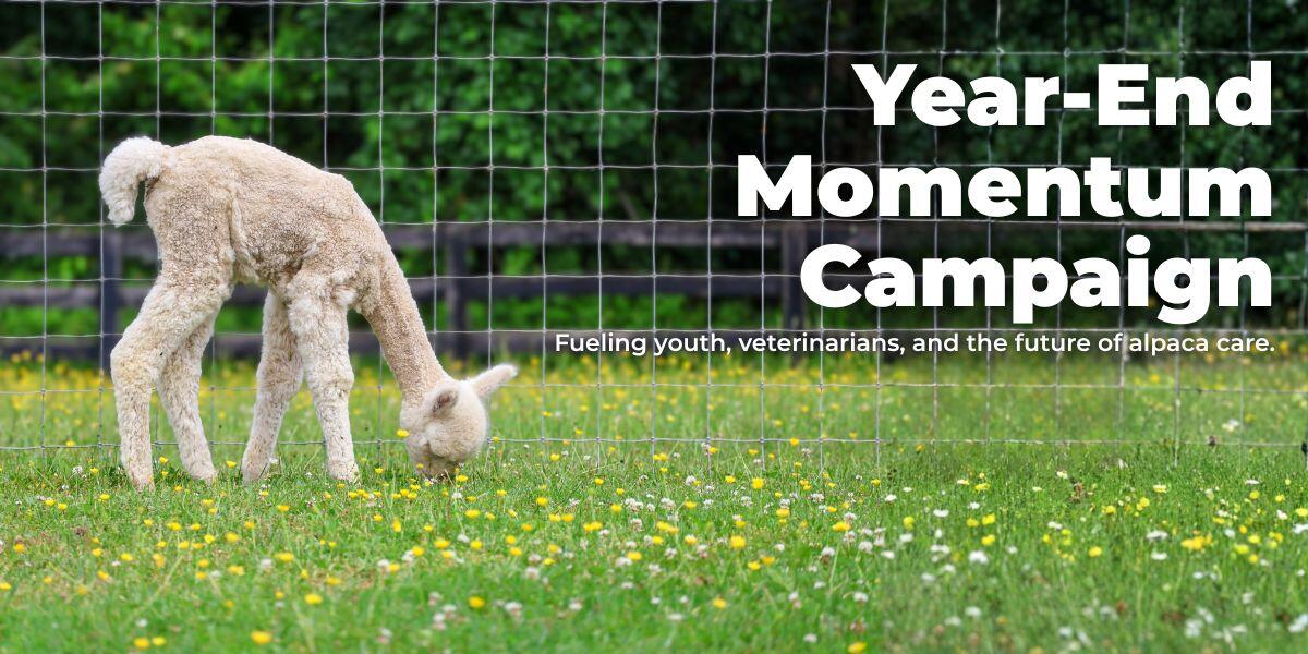 Campaign cover image for Year-End Momentum Campaign