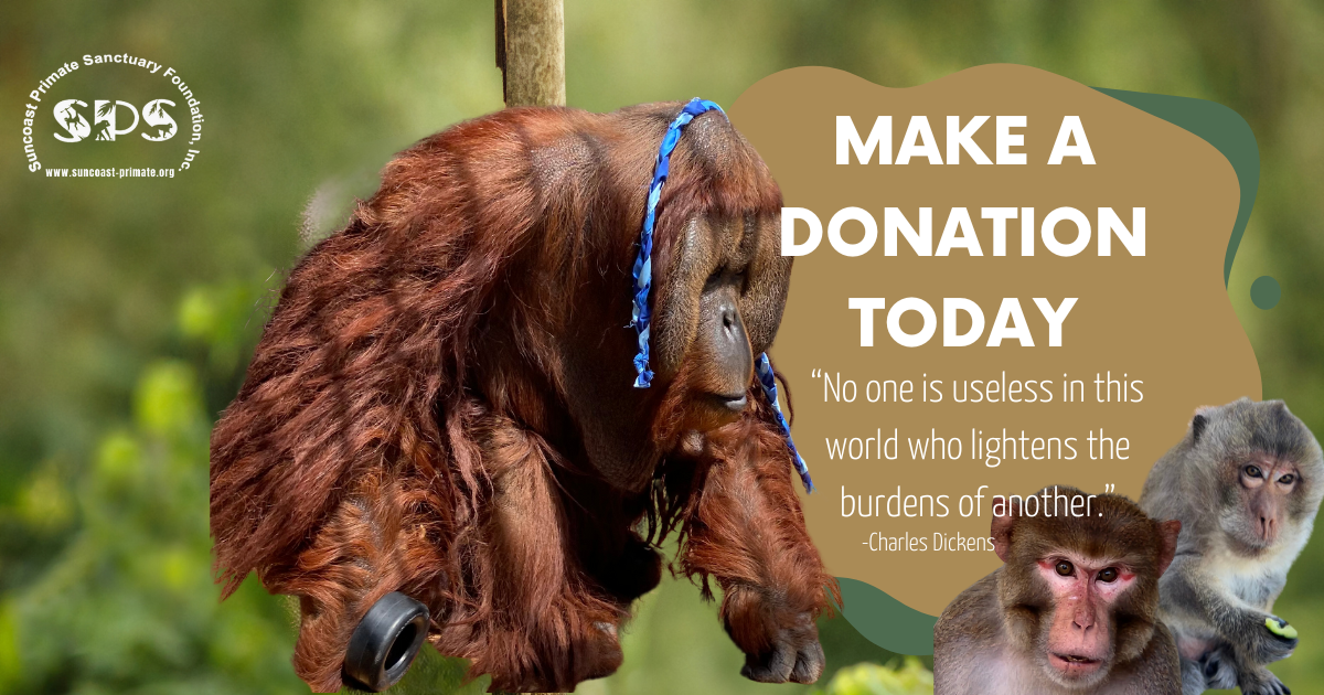 Campaign cover image for Enclosure Capital Campaign