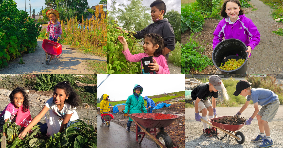 Campaign cover image for Help Us Offer a Free Summer Camp