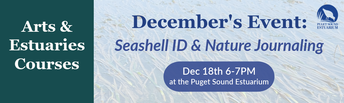 Campaign cover image for Arts and Estuaries Courses (Dec 2025)