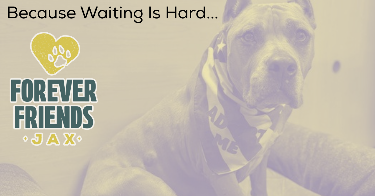 Campaign cover for Because Waiting Is Hard