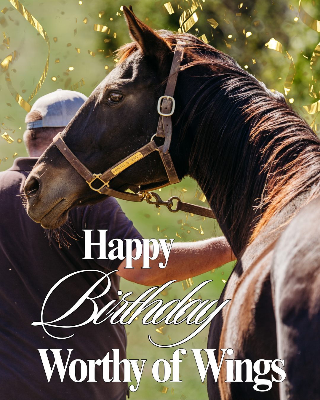 Campaign cover image for Worthy of Wings Birthday Fundraiser