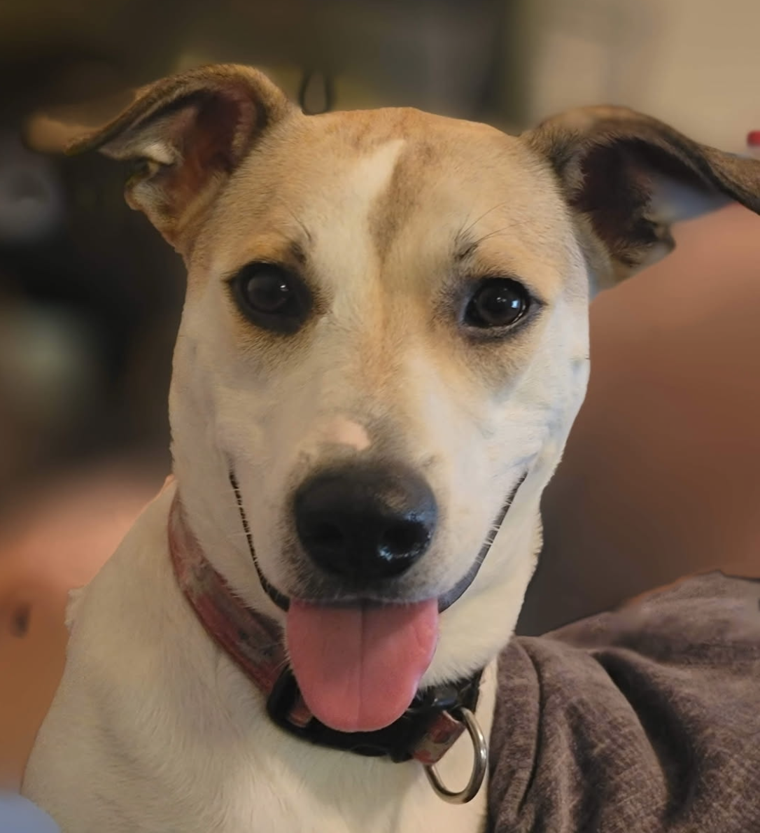 Campaign cover for It’s $5 Friday!