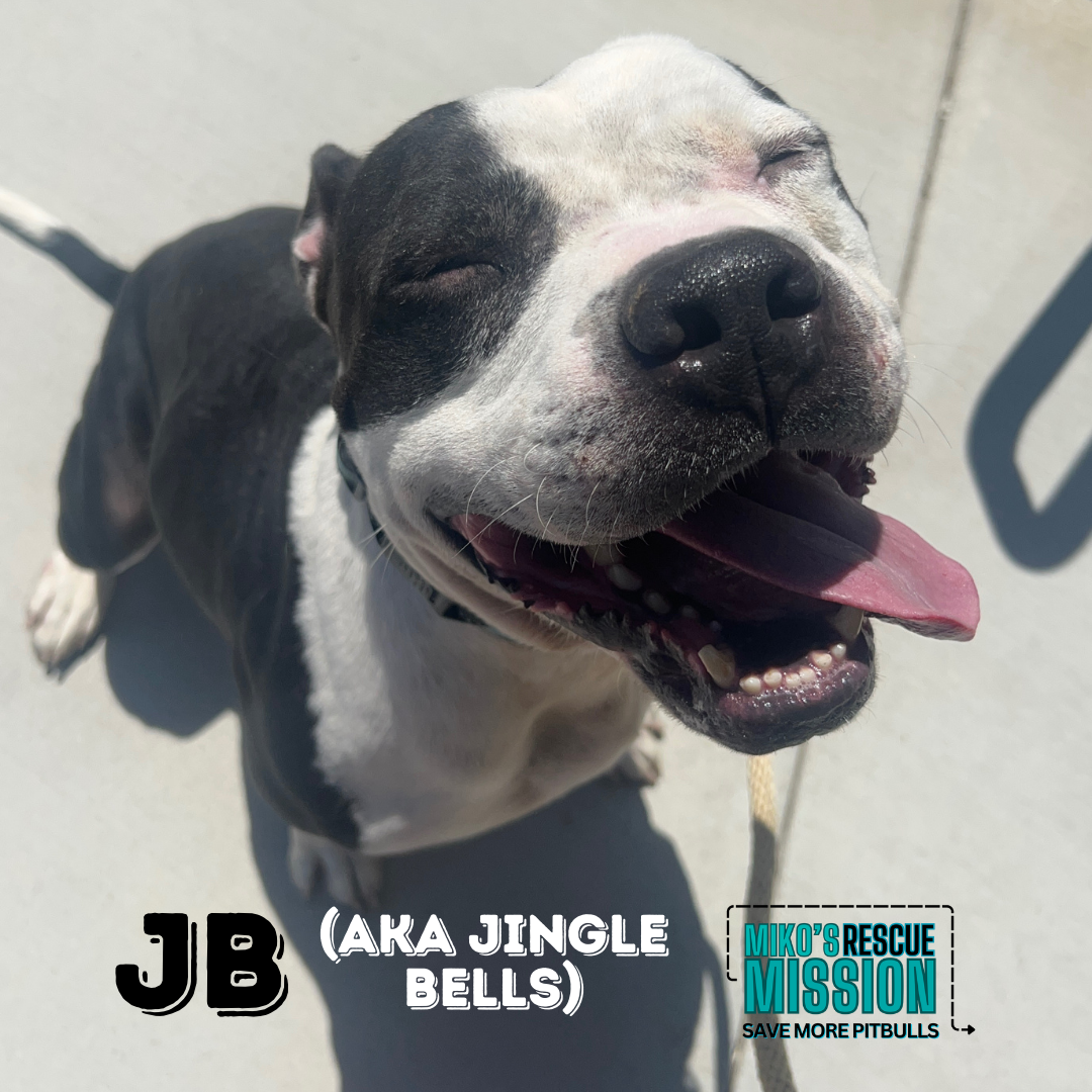 Campaign cover image for JB's Past Due Boarding Bill!