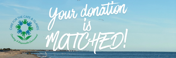 Campaign cover image for CARE Challenge 2025