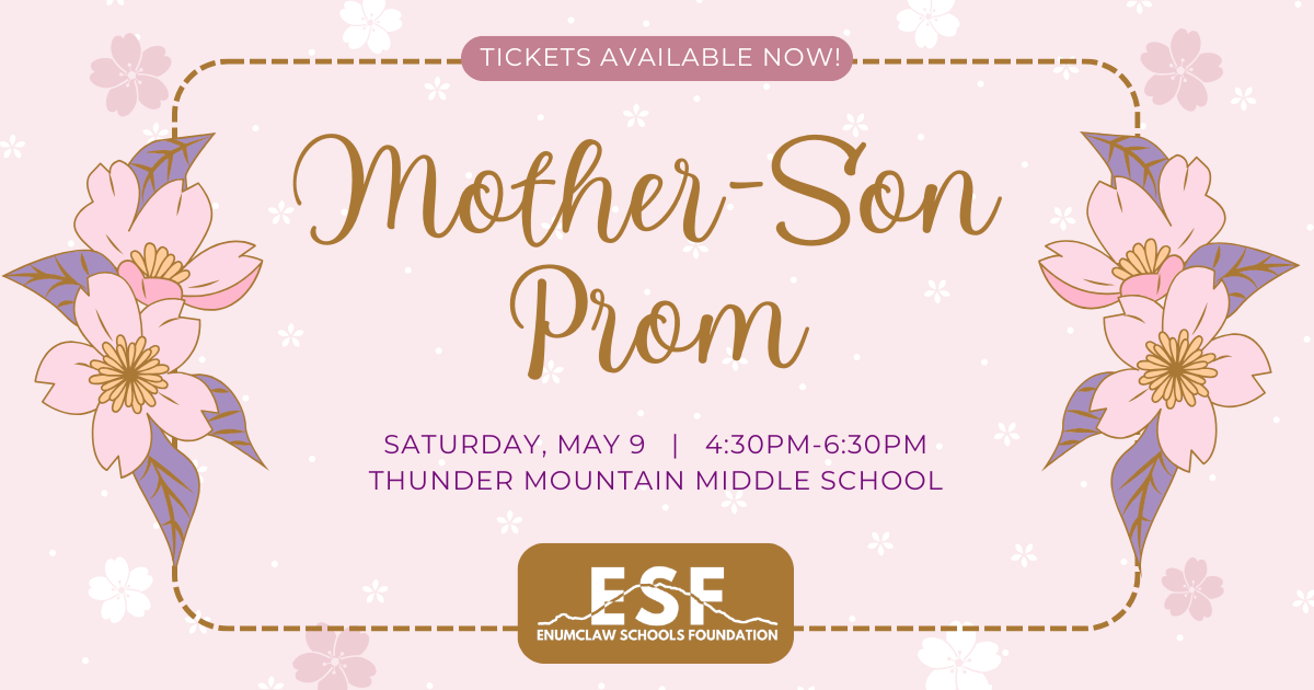 Campaign cover image for 2026 Mother-Son Prom