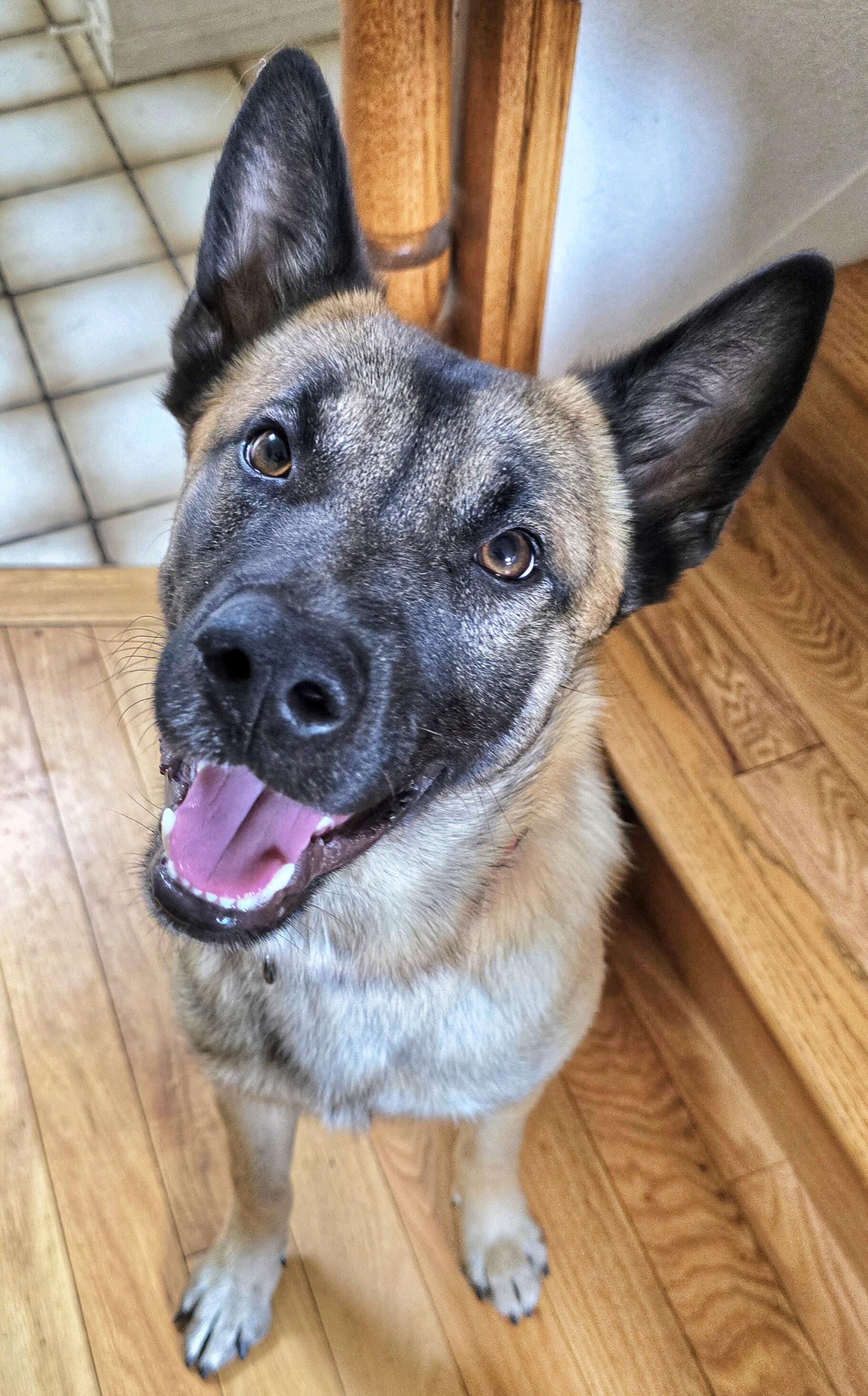 Campaign cover image for Giving Tueday 2025!