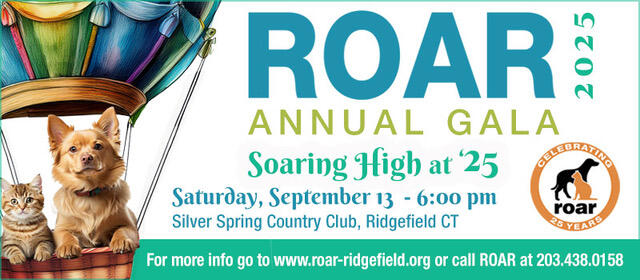 Campaign cover image for ROAR's Soaring High at '25