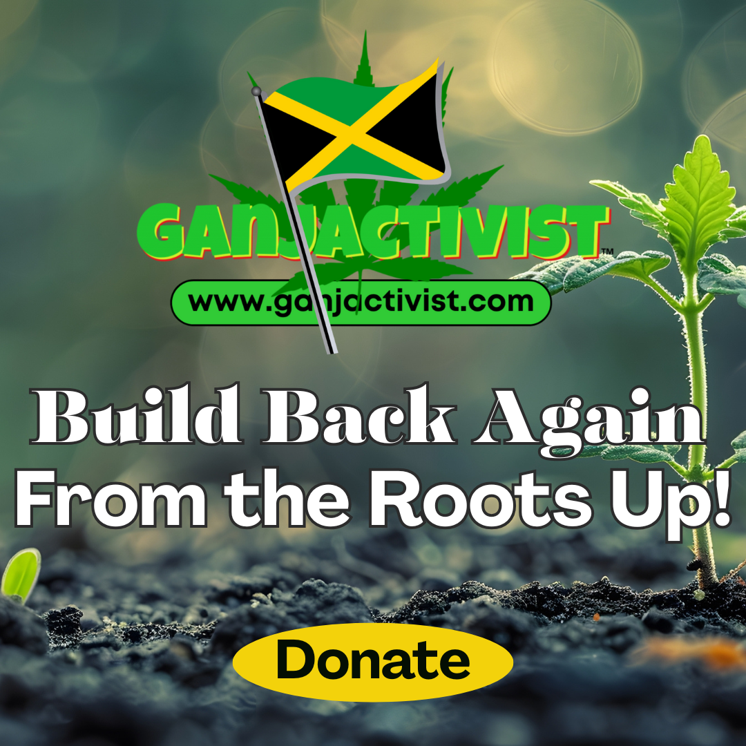 Campaign cover image for Build Back Again: From the Roots Up!- Rebuilding Jamaica’s Farming Communities
