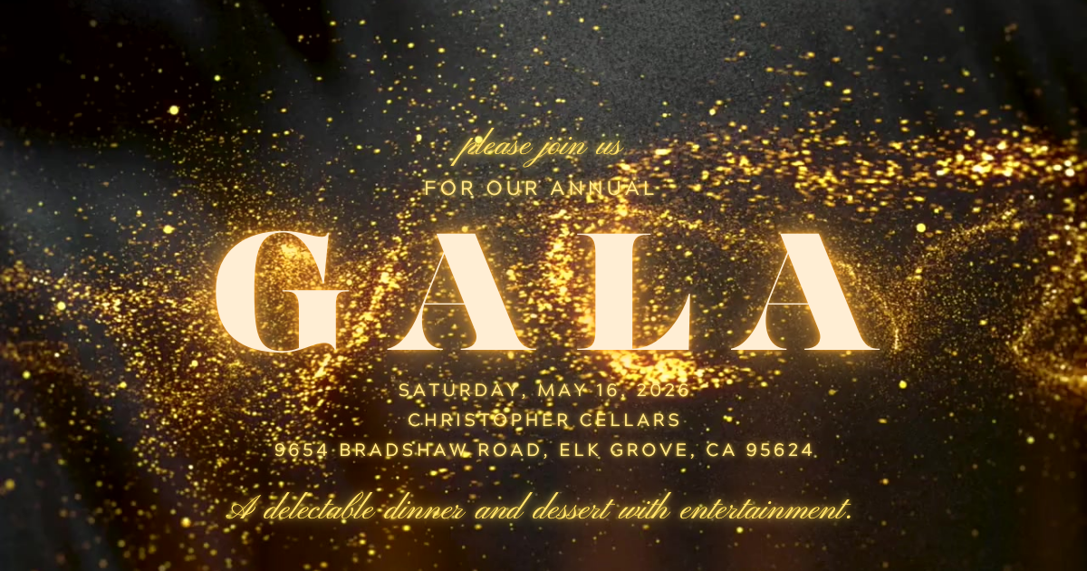 Campaign cover image for 2026 LCHS Band & Guard Annual Gala