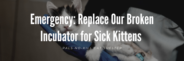 Campaign cover for Emergency: Replace Our Broken Incubator for Sick Kittens