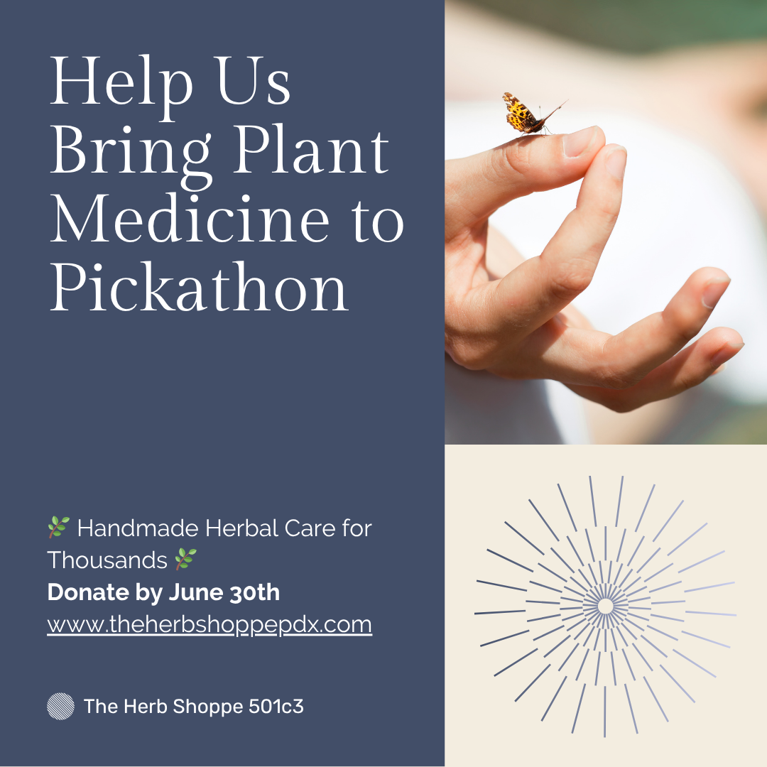 Campaign cover image for Pickathon 2025