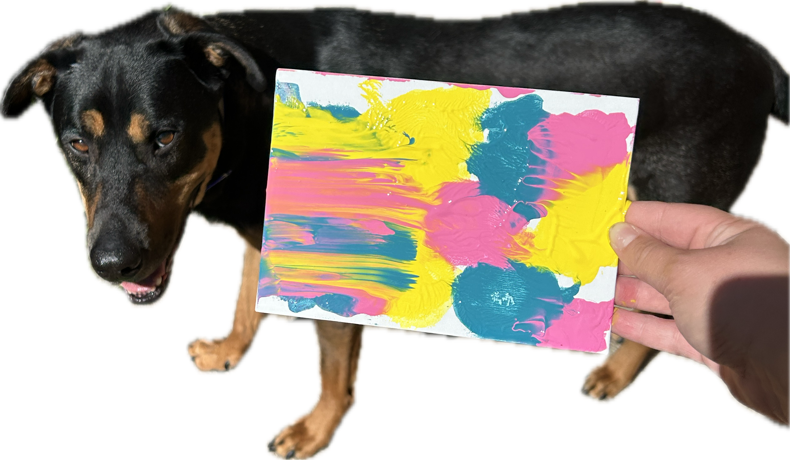 Campaign cover image for Open House and Doggy Painting
