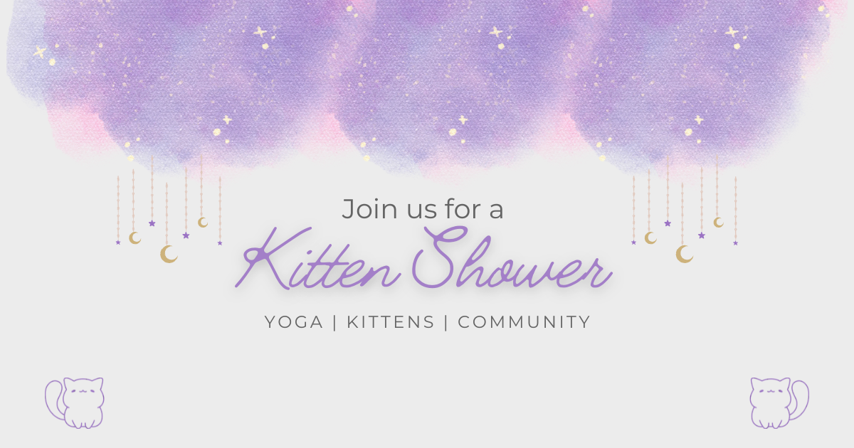 Campaign cover image for Kitten Shower benefitting Heidi’s Village