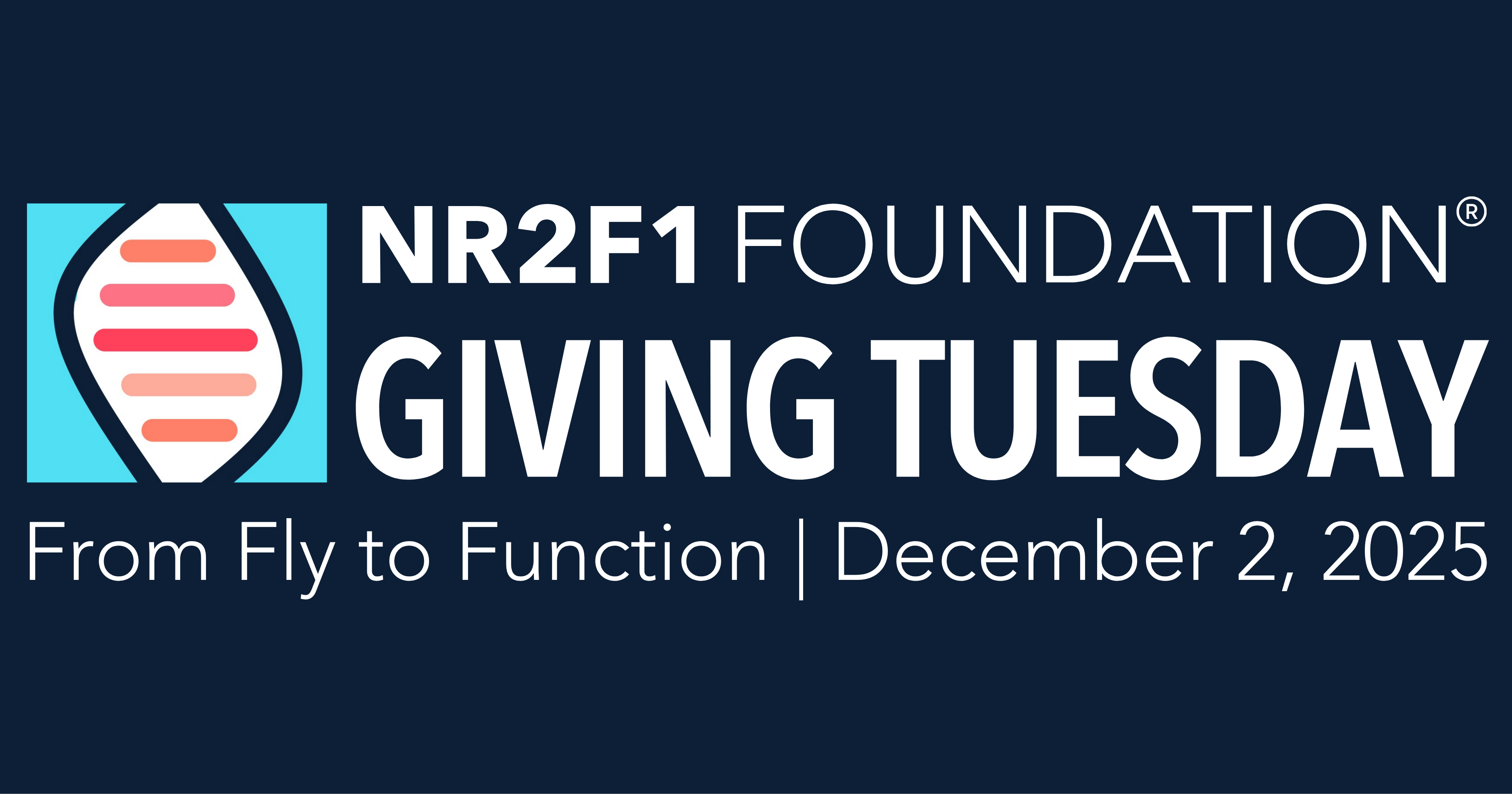 Campaign cover image for Giving Tuesday 2025 - “From Fly to Function”