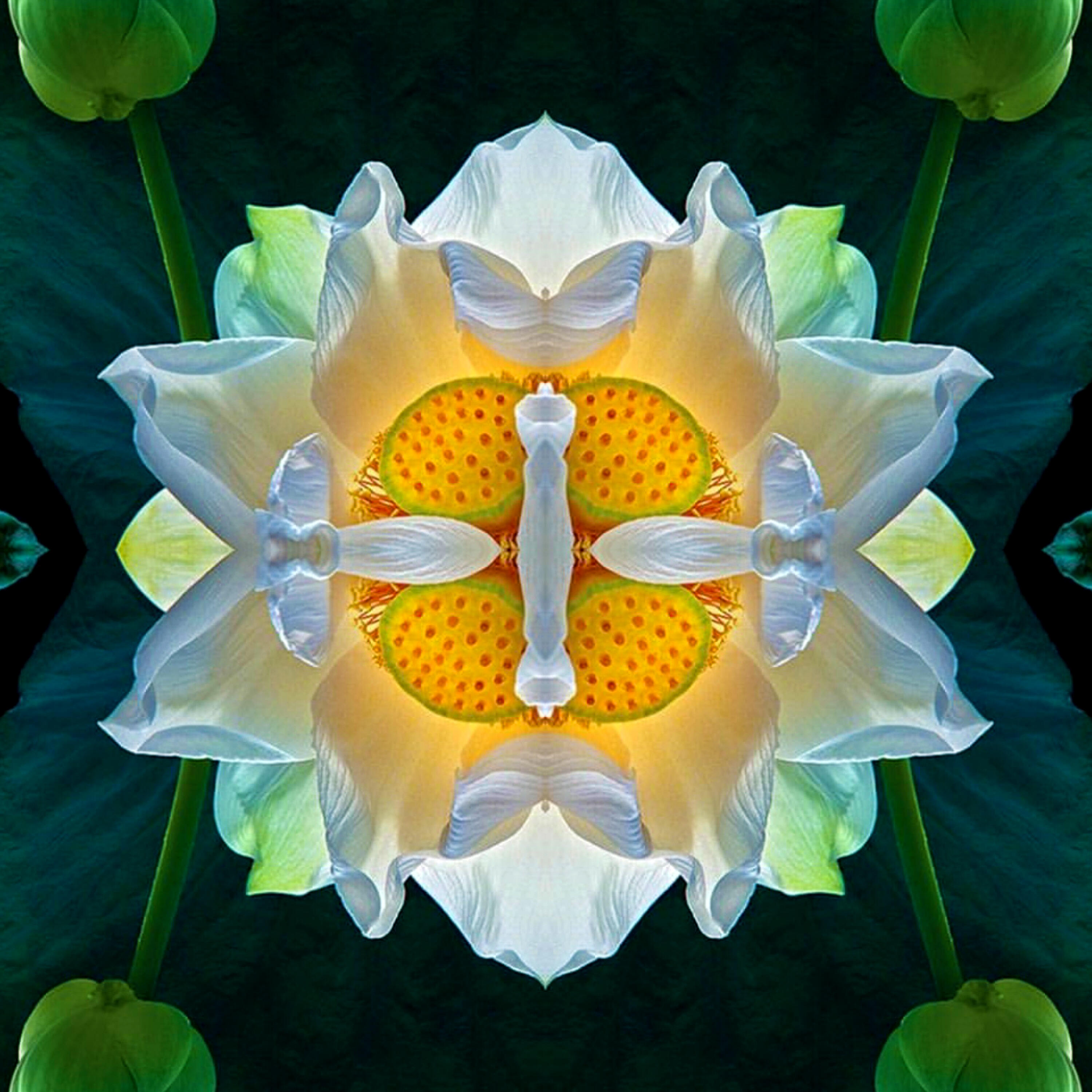 Campaign cover image for ART SERVES | Made to Give