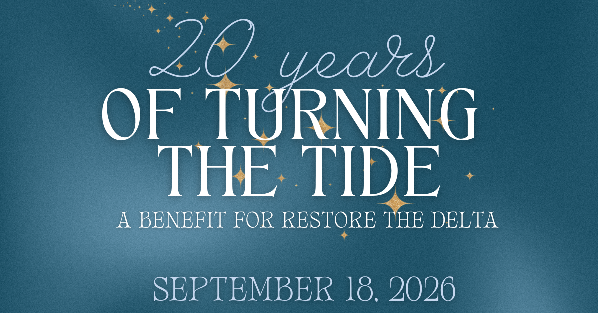 Campaign cover image for 20 Years of Turning the Tide: A Benefit for Restore the Delta