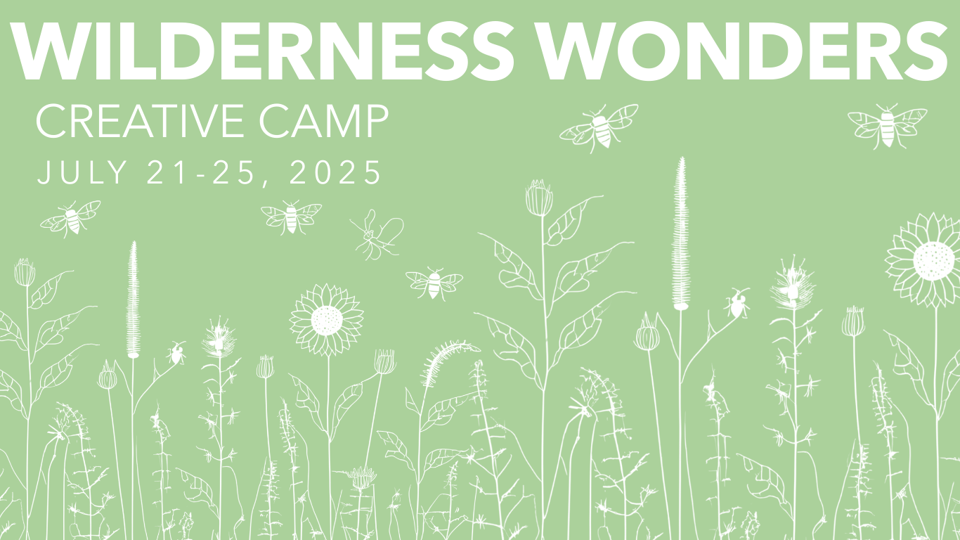 Campaign cover image for Wilderness Wonders