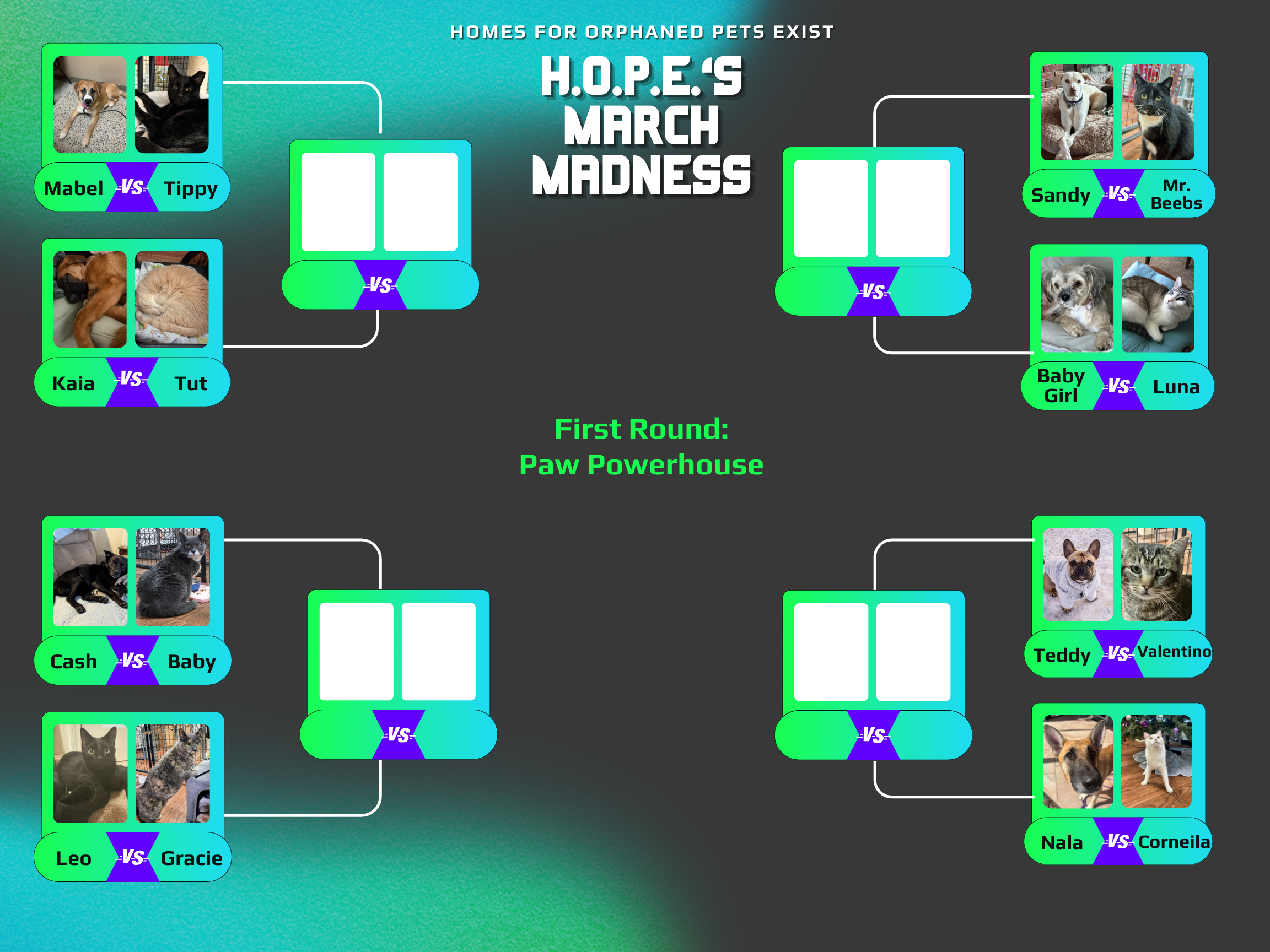Campaign cover image for H.O.P.E.'s March Madness