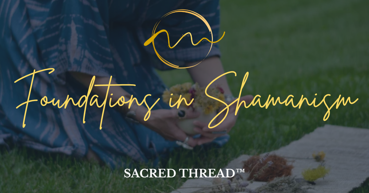 Campaign cover image for Foundations in Shamanism Workshop