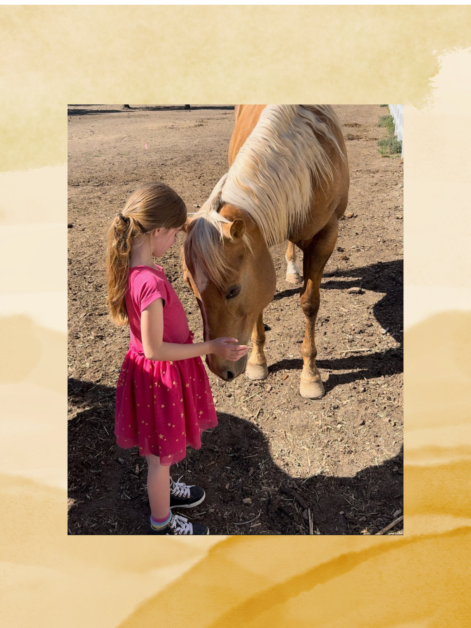 Campaign cover for Help Open Still Waters Farm