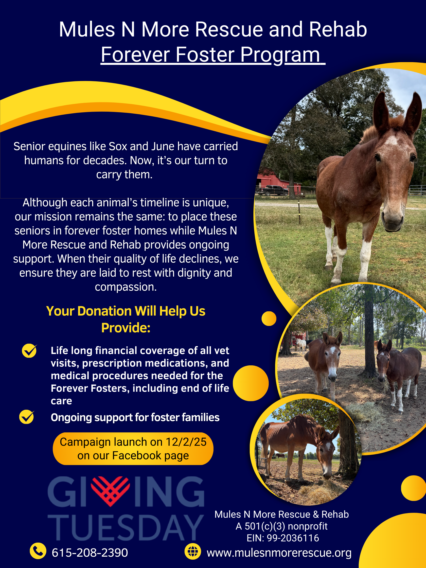 Campaign cover image for Giving Tuesday 2025