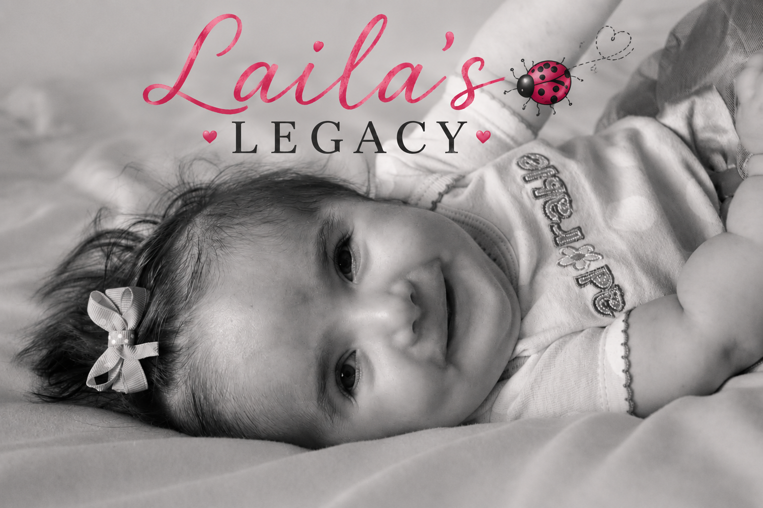 Campaign cover image for Laila’s Legacy 2026/2027