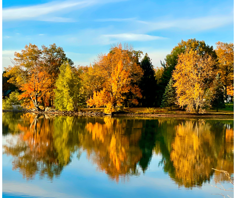 Campaign cover image for Not Your Average "DAM" Fundraiser!