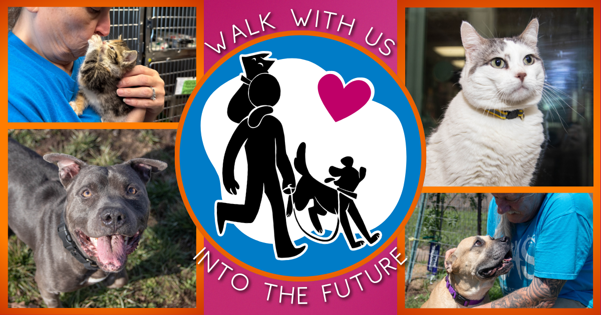 Campaign cover image for WALK WITH US INTO THE FUTURE