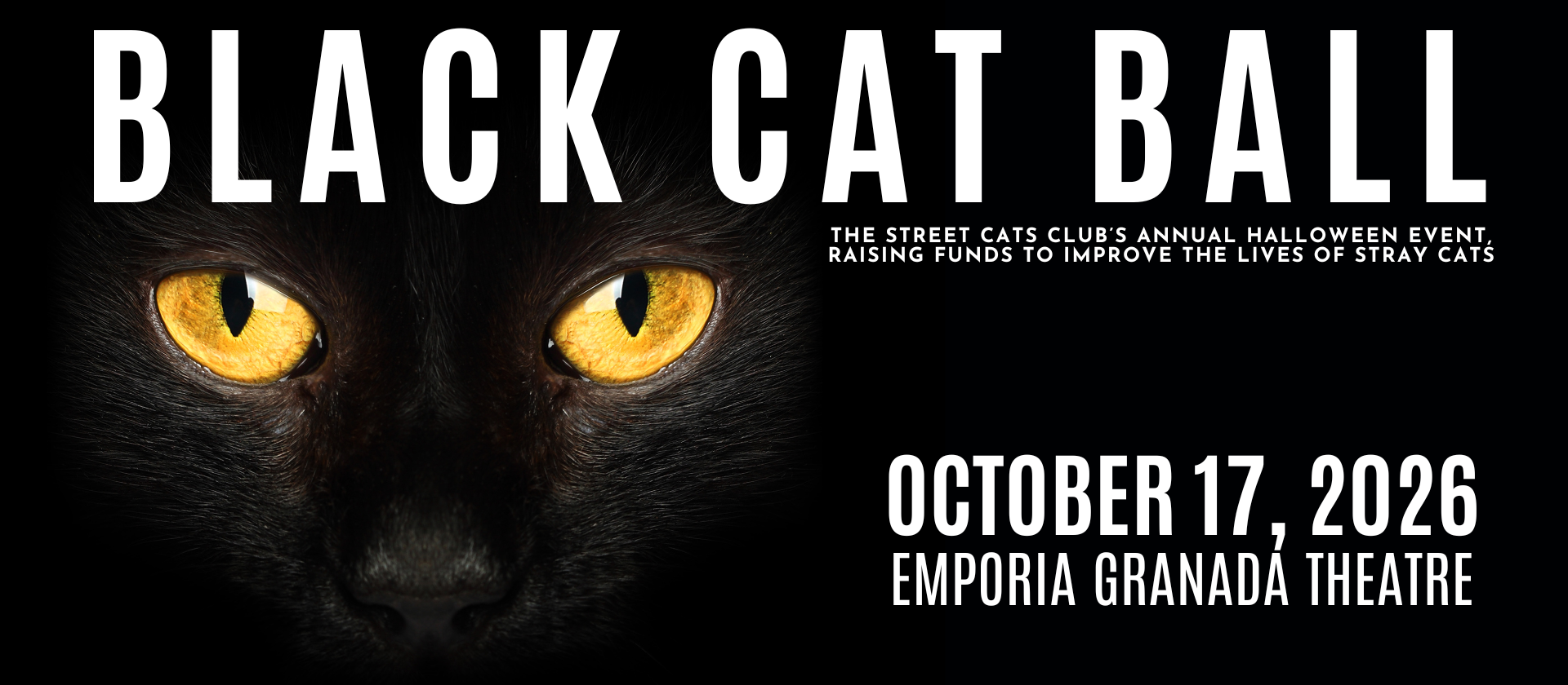 Campaign cover image for 2026 Black Cat Ball Sponsorship Opportunities