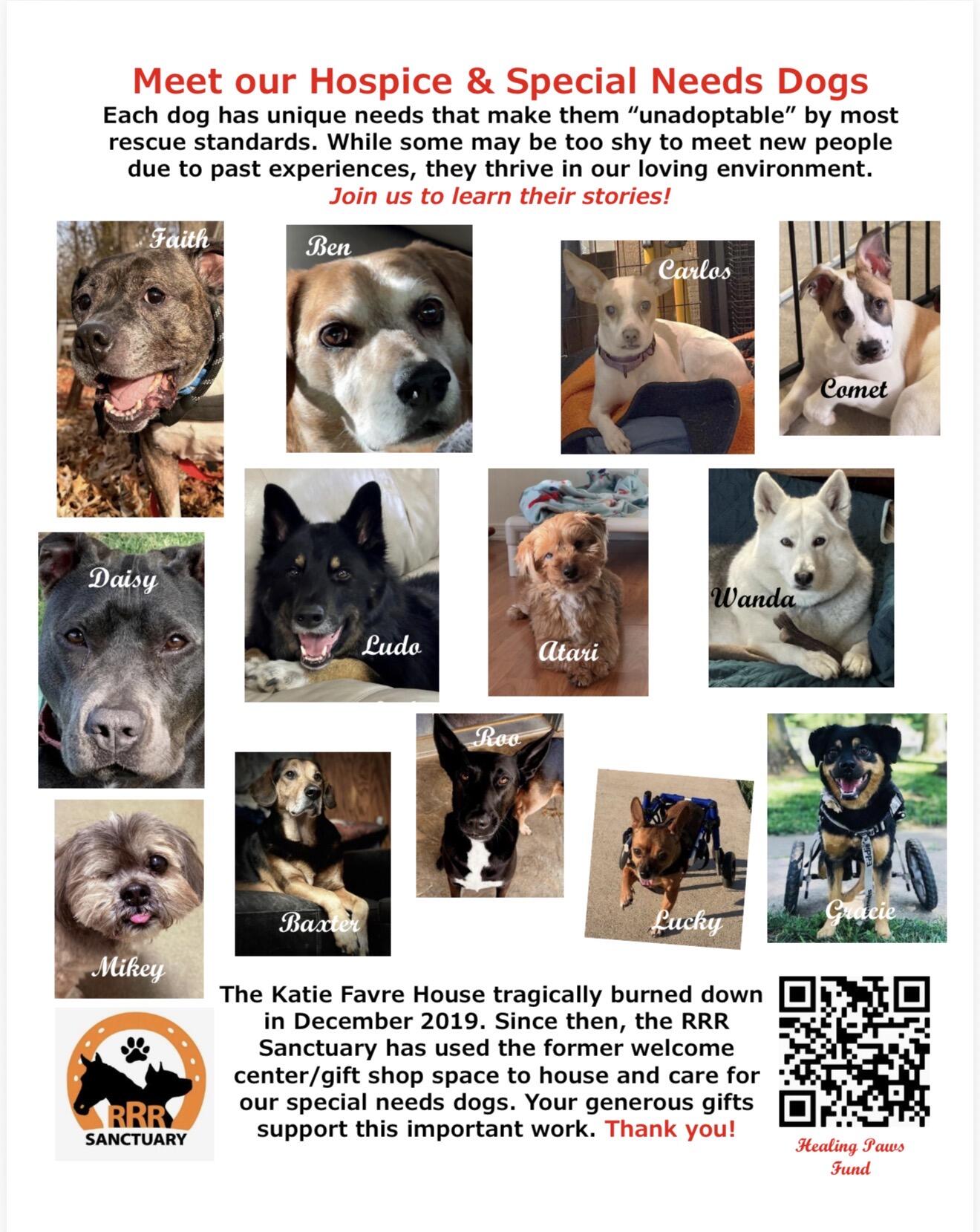 Campaign cover for Healing Paws Fund